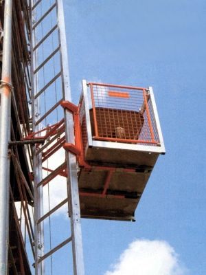 GEDA 175kg Combi Hoist