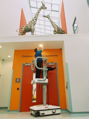 Mast Lifts